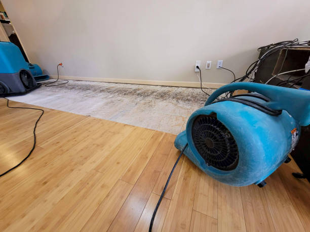 Professional Basement Flood Cleanup technician working in Homestead, PA